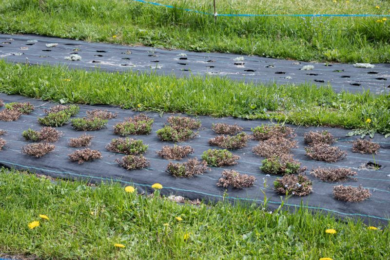 Installing Landscape Fabric