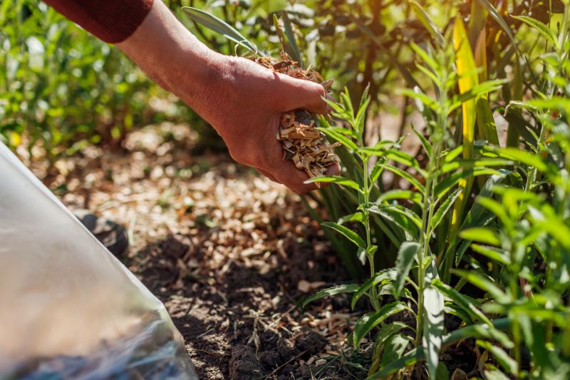 Mulching Techniques